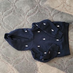 Ralph Lauren hoody